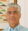 Rui Tavares Maluf