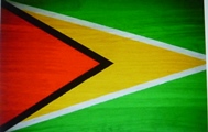 Bandeira da República Cooperativa da Guiana